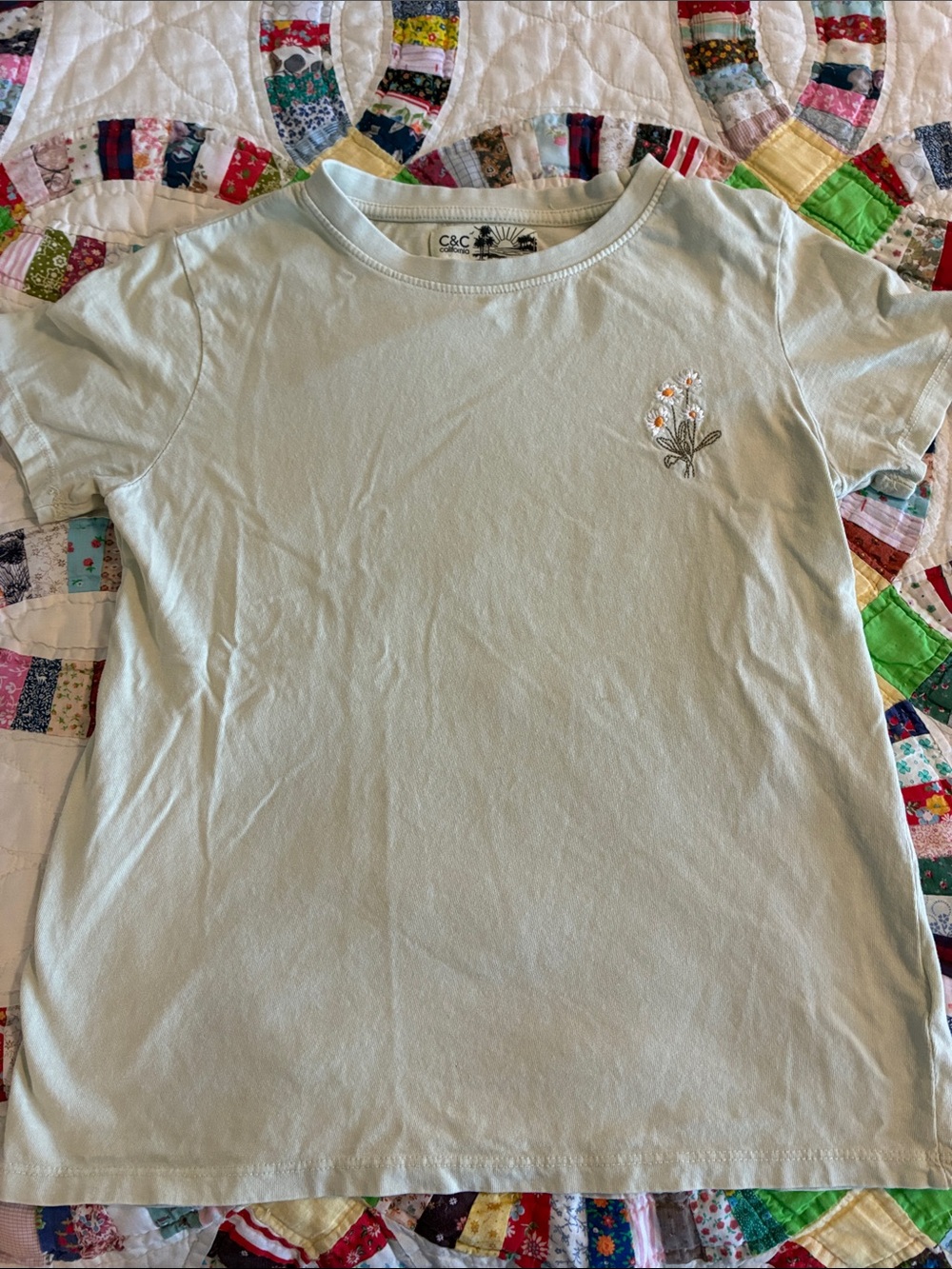 C&C California Light Green Tee with Daisy Embroidery coquette cotton floral